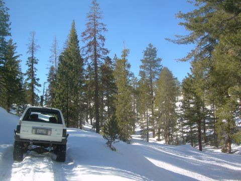 1993 Toyota 4Runner “Party Wagon”