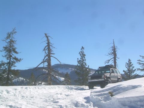 1993 Toyota 4Runner “Party Wagon”