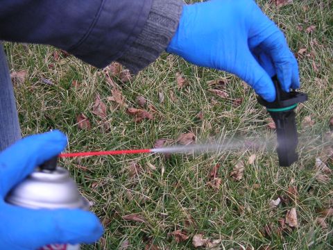 2002 BMW M3 - Cleaning a mass airflow sensor with spray cleaner outdoors.