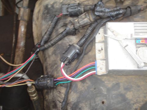 1984 Ford Bronco - thats the wires from the ignition modual out to the coil,dist,water temp,some sort of ground to the block.
