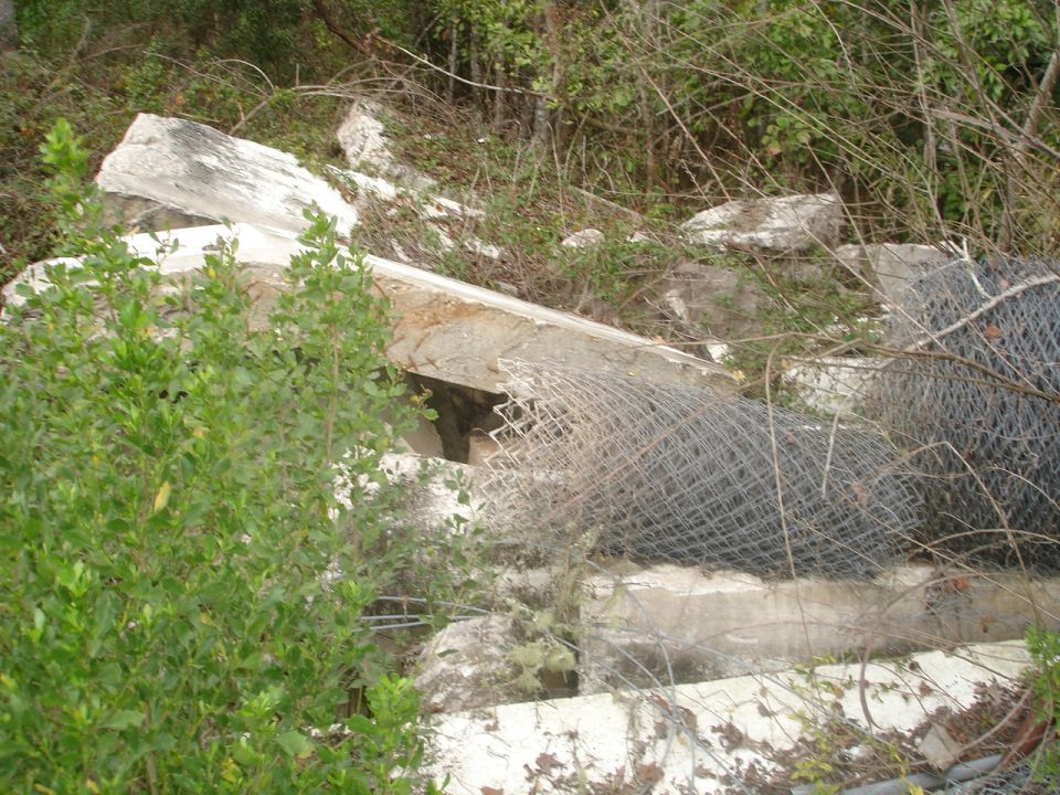 Debris and overgrown vegetation with a SuperMotors.net watermark