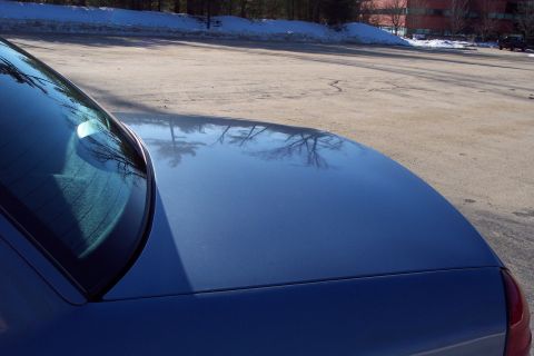 2001 Ford Crown Victoria - The rear of a blue sedan is visible, reflecting bare trees from its polished surface.