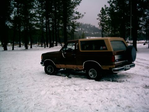 1989 Ford Bronco photo