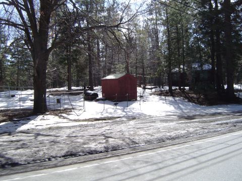1989 Ford Bronco - A red shed sits in a snowy yard surrounded by trees, with a house visible in the distance.