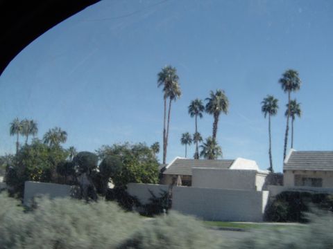 1989 Ford Bronco - A view of houses and palm trees from a moving vehicle on a sunny day.