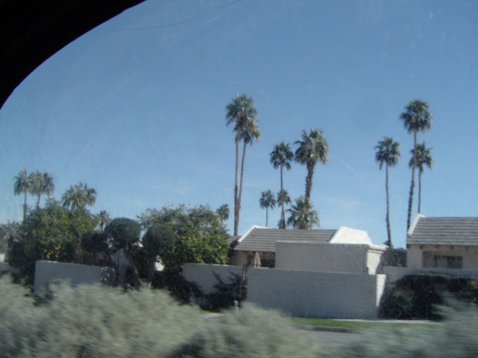 Houses with white walls and tile roofs, surrounded by palm trees and green bushes under a clear blue sky
