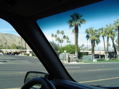 1989 Ford Bronco - View from inside a vehicle driving past palm trees and suburban homes.