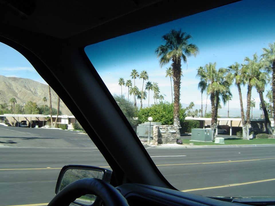 Interior view from a vehicle, showing a steering wheel and dashboard, looking out at palm trees and buildings