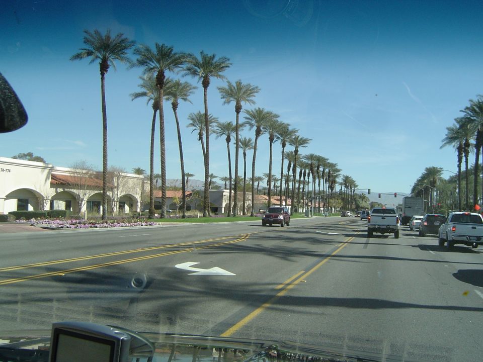 Red SUV driving on a sunny day with palm trees lining the street