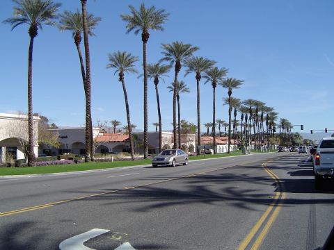 1989 Ford Bronco - A street scene with palm trees and cars driving on a sunny day.