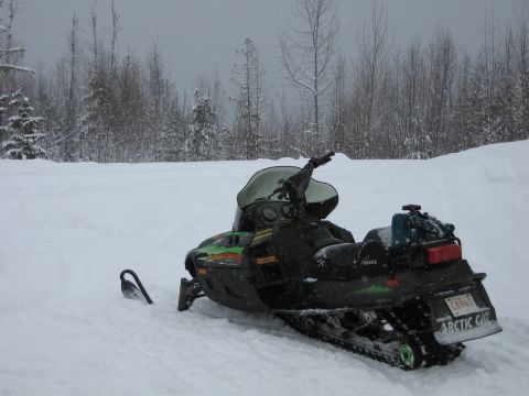 1999 Arctic Cat Powder Special 600 EFI “Pickle”
