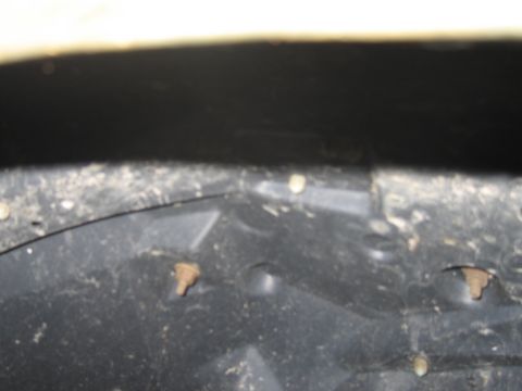 2001 Ford Crown Victoria - Close-up view of a dirty wheel well liner, showing fasteners and debris.