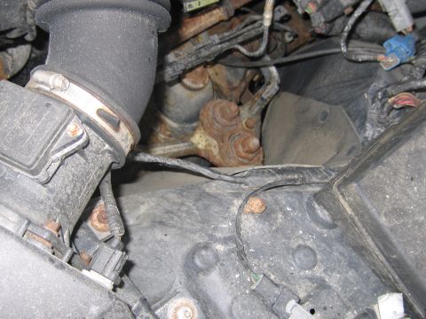 2001 Ford Crown Victoria - Close-up view of engine bay components, including hoses, wiring, and rusty metal parts.