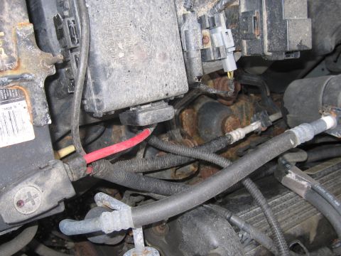 2001 Ford Crown Victoria - Close-up view of the engine bay, showing the Ford fuse box and battery connections.