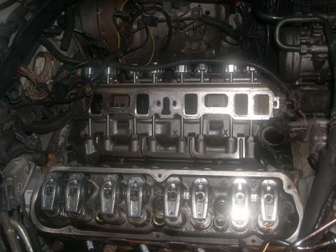 1991 Ford Mustang photo