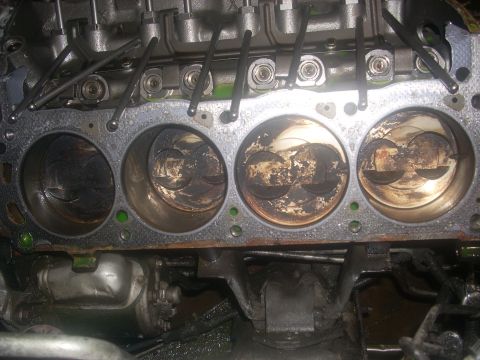 1991 Ford Mustang photo