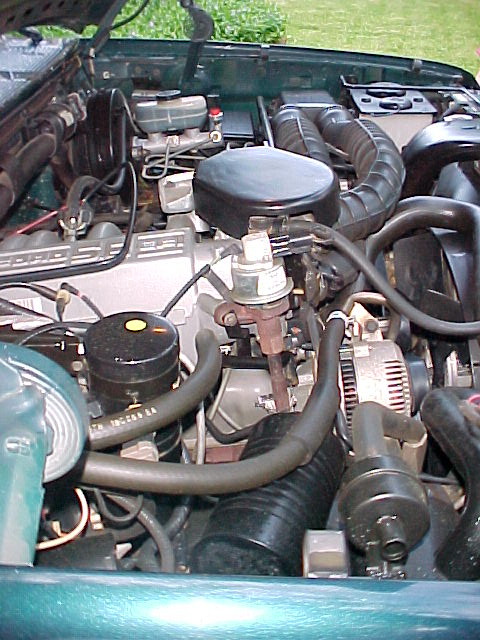 1995 Ford Bronco - The engine bay of a green vehicle, showing various mechanical parts and hoses.