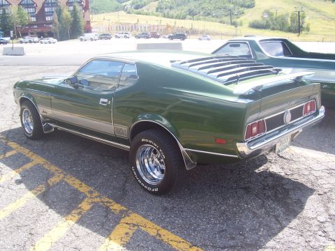 1973 Ford Mustang - Green 1973 Ford Mustang Mach 1 parked outdoors, showing its rear and side profile.