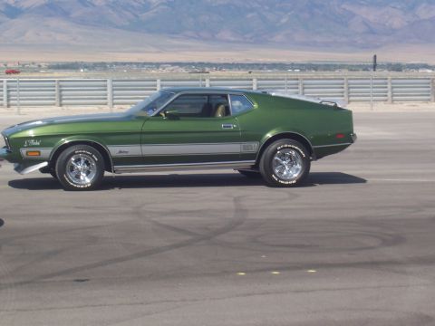 1973 Ford Mustang - This green 1971 Ford Mustang Mach 1 features a distinctive silver stripe along its side.