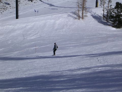 1983 Ferrari Enzo - A lone skier navigates a groomed ski slope, with trees and ski lift infrastructure visible in the background.