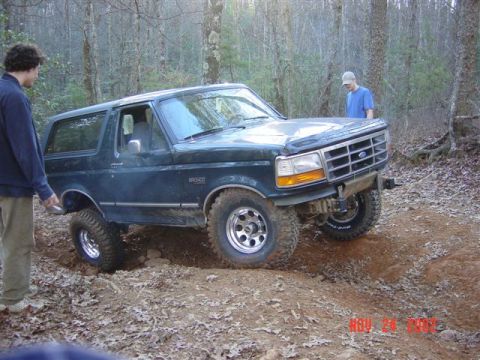 1995 Ford Bronco - They did well.