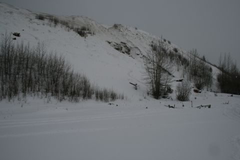 2003 Jeep TJ - A winter scene shows a snow-covered hillside with sparse trees and various objects scattered across the snowy ground.