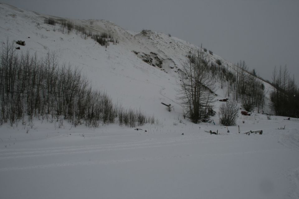 snowy hillside with bare trees and some scattered debris on the ground