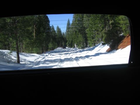 1989 Ford Bronco - A vehicle travels on a snow-covered road surrounded by pine trees.