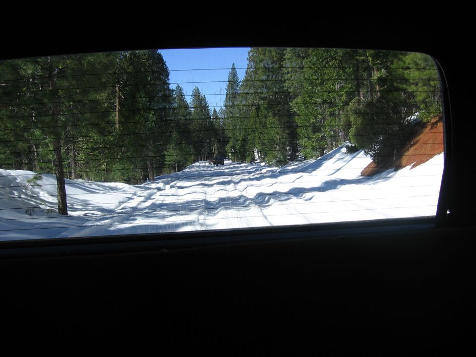 Snowy road through pine forest, viewed through a rear window with defroster lines