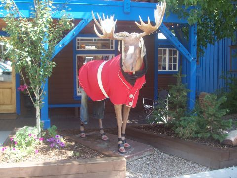 1973 Ford Mustang - A statue of a moose dressed in a red coat and jeans stands outside a building.