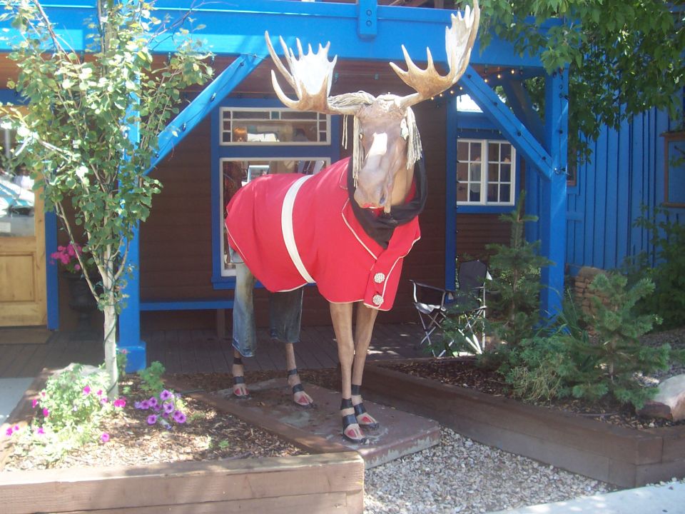Moose statue with antlers, wearing a red coat and jeans, standing outside a building