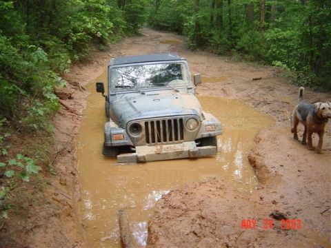 1995 Ford Bronco - stuck jeep