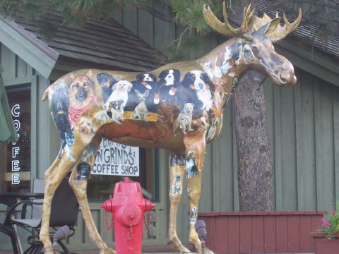 1973 Ford Mustang - A decorative moose statue, adorned with paintings of numerous dog breeds, is displayed in front of a coffee shop.