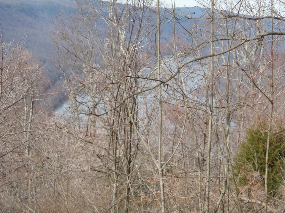 Trees in the foreground obscure a distant body of water and hills