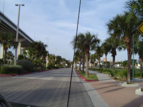 1989 Ford Bronco - A sunny day scene with palm trees lining a road and an overpass in the background.