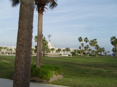 1989 Ford Bronco - A white sedan is visible on a road with palm trees and a large ship in the distance.