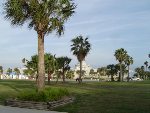 1989 Ford Bronco - A white sedan is visible on a road lined with palm trees, with a large building in the background.