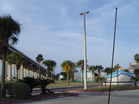 1989 Ford Bronco - Coastal scene with palm trees, a pedestrian crossing sign, and a building in the background.