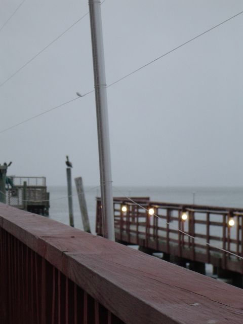 1989 Ford Bronco - A cloudy day at the pier with a pelican and illuminated walkway over the water.