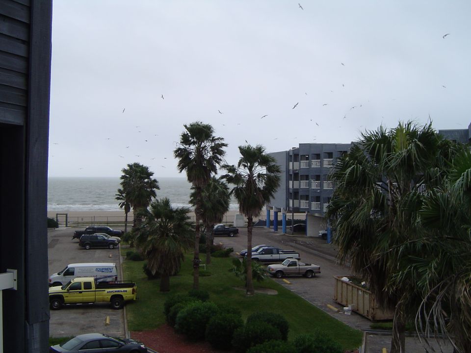 View from mom's place