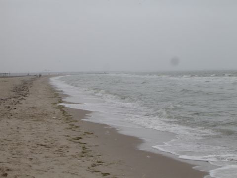1989 Ford Bronco - A view of the ocean waves washing onto a sandy beach under an overcast sky.