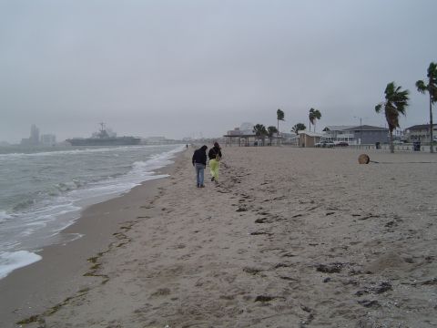 1989 Ford Bronco - A beach scene with two people walking, a ship on the water, and buildings in the background.