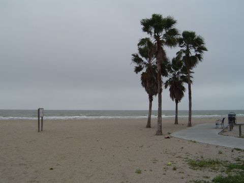 1989 Ford Bronco - A cloudy day at the beach with palm trees and the ocean in the background.