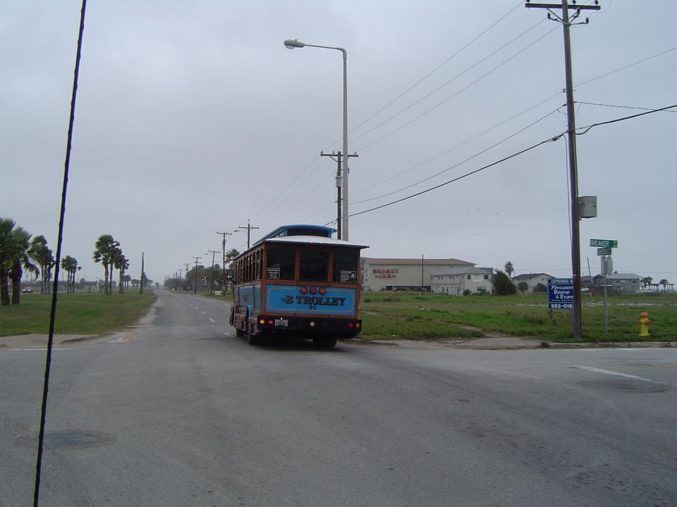 Trolley bus driving down a road with palm trees and buildings in the background