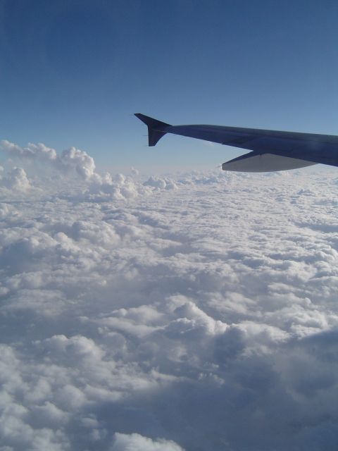 1989 Ford Bronco - View from an airplane window shows a wing extending over a vast expanse of clouds under a clear blue sky.