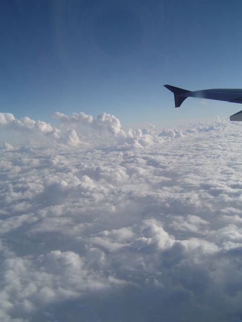 1989 Ford Bronco - View from an airplane window shows a wing extending over a vast expanse of clouds under a clear blue sky.