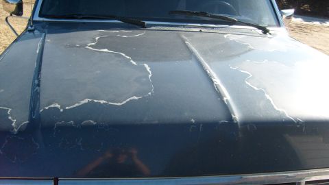 1995 Ford C-150 (Centurion Conversions) - The hood of a blue truck shows significant paint damage with large areas peeling away.