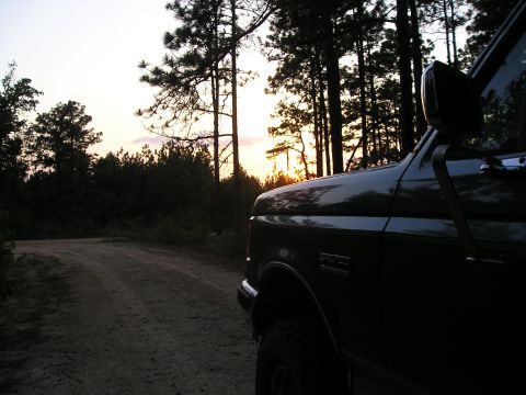 1989 Ford Bronco - A dirt road winds through trees as the sun sets behind a dark green Ford Bronco.