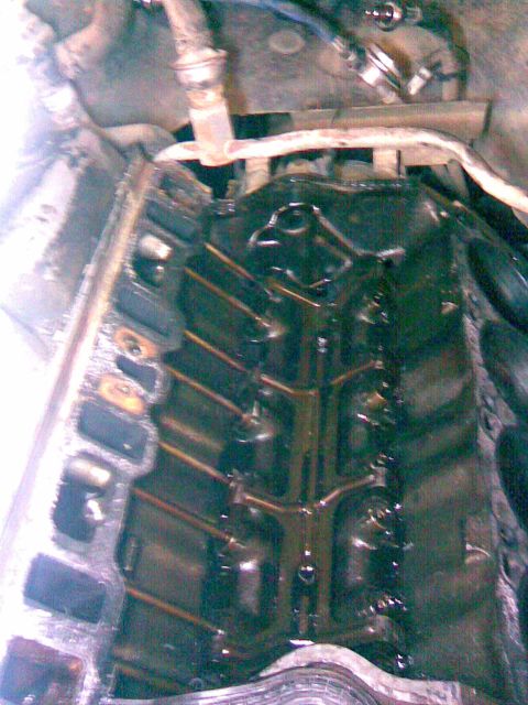 1994 Ford Bronco - This is a close-up view of an engine's oil pan, showing internal components and accumulated oil.