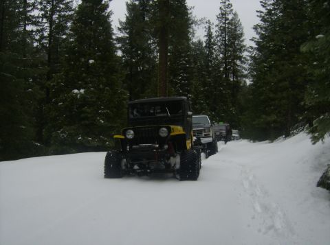 1986 Ford Bronco - Several off-road vehicles navigate a snow-covered path surrounded by dense evergreen trees.